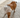 Everything You Need to Know About Diapers for Dogs